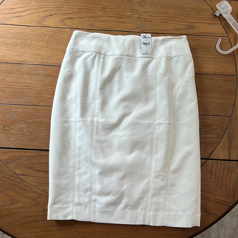 Express skirt size 4
